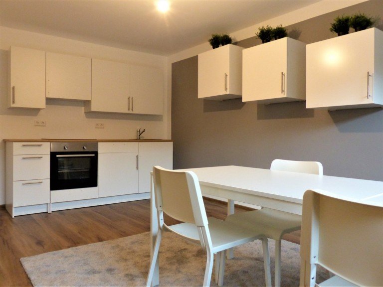 Essen / Kochen Muggensturm Souterrainwohnung Erstbezug nach Sanierung: M�bliertes Appartement in guter Lage in Muggensturm
